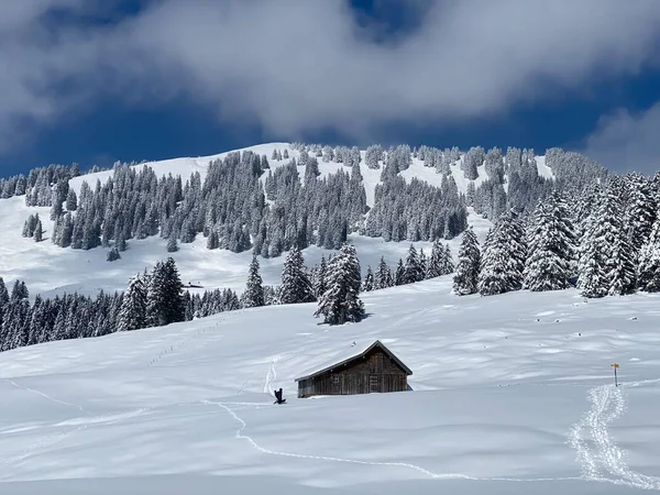 スイスの牧草地に新鮮な白い雪に覆われた先住民の高山の小屋と木製の牛の厩舎 Nesslau Obertoggenburg スイス スイス — ストック写真