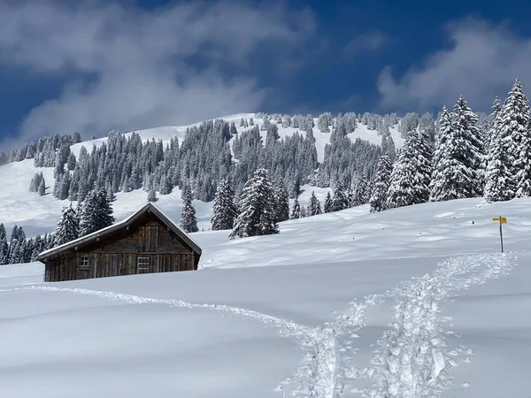 Heimische Almhütten Und Hölzerne Rinderställe Auf Schneebedeckten Schweizer Weiden Nesslau — Stockfoto
