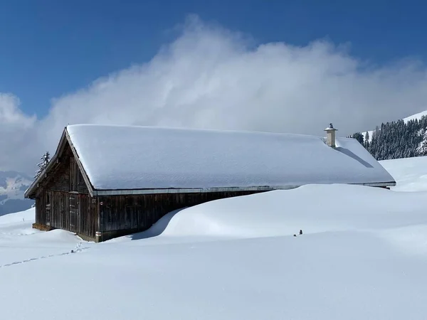 Indigenous Alpine Huts Wooden Cattle Stables Swiss Pastures Covered Fresh — ストック写真