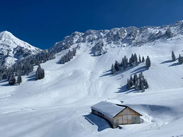 Cabañas Alpinas Indígenas Establos Madera Pastos Suizos Cubiertos Nieve Blanca — Foto de Stock