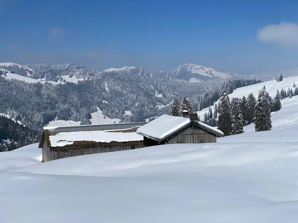 Indigenous Alpine Huts Wooden Cattle Stables Swiss Pastures Covered Fresh — ストック写真