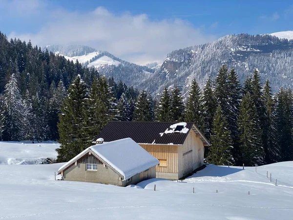 スイスの牧草地に新鮮な白い雪に覆われた先住民の高山の小屋と木製の牛の厩舎 Nesslau Obertoggenburg スイス スイス — ストック写真