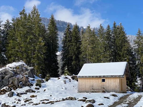 Cabañas Alpinas Indígenas Establos Madera Pastos Suizos Cubiertos Nieve Blanca — Foto de Stock