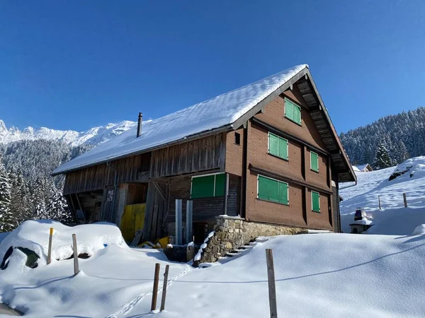 Cabañas Alpinas Indígenas Establos Madera Pastos Suizos Cubiertos Nieve Blanca — Foto de Stock