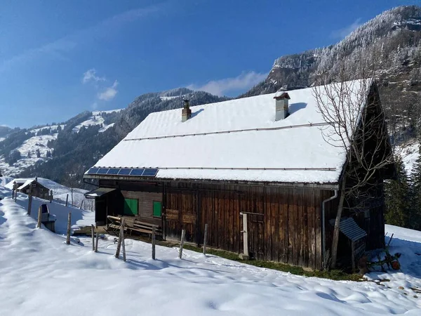 İsviçre çayırlarındaki yerli dağ kulübeleri ve ahşap ahırlar taze beyaz kar örtüsüyle kaplıdır, Nesslau - Obertoggenburg, İsviçre (Schweiz)