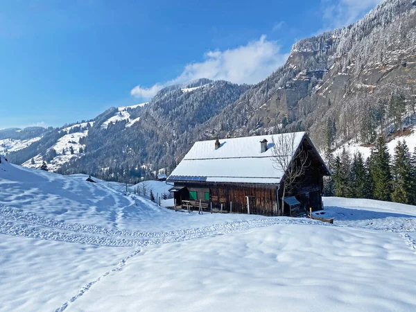 Cabanas Alpinas Indígenas Estábulos Gado Madeira Pastagens Suíças Cobertas Com — Fotografia de Stock