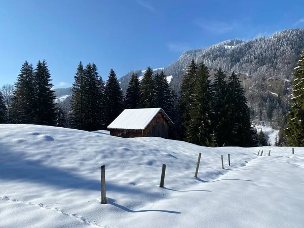 Inheemse Hutten Houten Rundveestallen Zwitserse Weiden Bedekt Met Verse Witte — Stockfoto