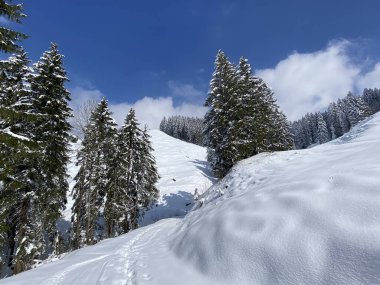 Obertoggenburg Alp Vadisi 'nde ve İsviçre' nin Nesslau, İsviçre 'de (Schweiz)