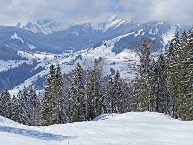 Obertoggenburg Alp Vadisi 'nde ve İsviçre' nin Nesslau, İsviçre 'de (Schweiz)