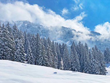 Obertoggenburg Alp Vadisi 'nde ve İsviçre' nin Nesslau, İsviçre 'de (Schweiz)