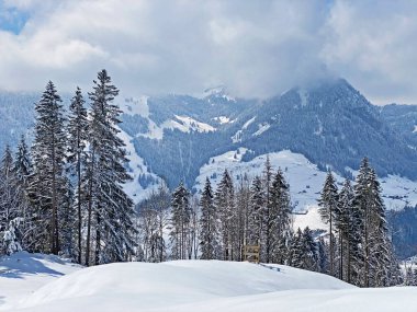 Obertoggenburg Alp Vadisi 'nde ve İsviçre' nin Nesslau, İsviçre 'de (Schweiz)