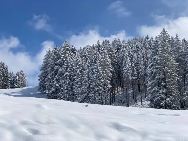 Obertoggenburg Alp Vadisi 'nde ve İsviçre' nin Nesslau, İsviçre 'de (Schweiz)