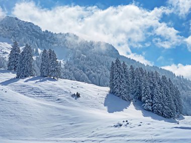 Obertoggenburg Alp Vadisi 'nde ve İsviçre' nin Nesslau, İsviçre 'de (Schweiz)