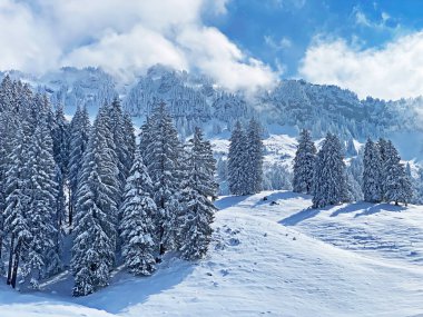 Obertoggenburg Alp Vadisi 'nde ve İsviçre' nin Nesslau, İsviçre 'de (Schweiz)