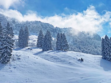 Obertoggenburg Alp Vadisi 'nde ve İsviçre' nin Nesslau, İsviçre 'de (Schweiz)