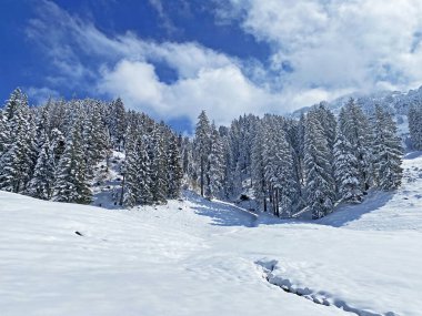 Obertoggenburg Alp Vadisi 'nde ve İsviçre' nin Nesslau, İsviçre 'de (Schweiz)