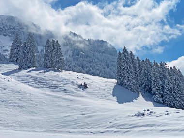 Obertoggenburg Alp Vadisi 'nde ve İsviçre' nin Nesslau, İsviçre 'de (Schweiz)