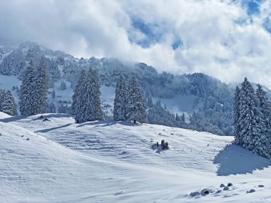 Obertoggenburg Alp Vadisi 'nde ve İsviçre' nin Nesslau, İsviçre 'de (Schweiz)