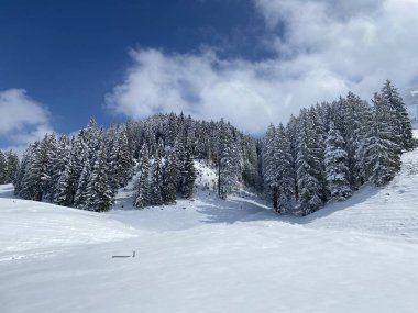 Obertoggenburg Alp Vadisi 'nde ve İsviçre' nin Nesslau, İsviçre 'de (Schweiz)