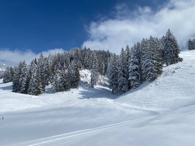 Obertoggenburg Alp Vadisi 'nde ve İsviçre' nin Nesslau, İsviçre 'de (Schweiz)