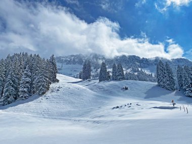 Obertoggenburg Alp Vadisi 'nde ve İsviçre' nin Nesslau, İsviçre 'de (Schweiz)