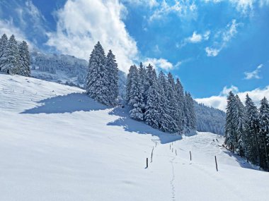 Obertoggenburg Alp Vadisi 'nde ve İsviçre' nin Nesslau, İsviçre 'de (Schweiz)