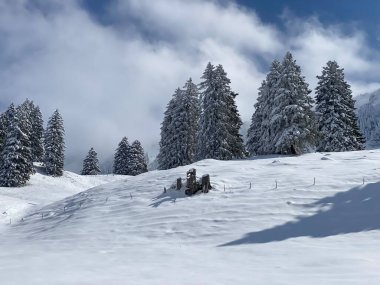 Obertoggenburg Alp Vadisi 'nde ve İsviçre' nin Nesslau, İsviçre 'de (Schweiz)