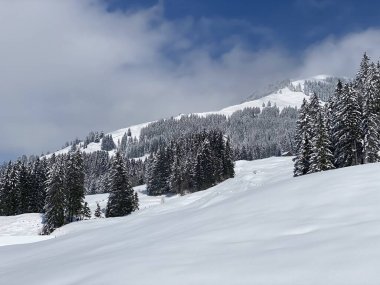 Obertoggenburg Alp Vadisi 'nde ve İsviçre' nin Nesslau, İsviçre 'de (Schweiz)
