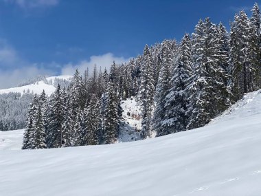 Obertoggenburg Alp Vadisi 'nde ve İsviçre' nin Nesslau, İsviçre 'de (Schweiz)