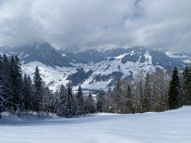 Obertoggenburg Alp Vadisi 'nde ve İsviçre' nin Nesslau, İsviçre 'de (Schweiz)