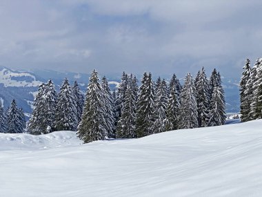 Obertoggenburg Alp Vadisi 'nde ve İsviçre' nin Nesslau, İsviçre 'de (Schweiz)