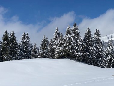 Obertoggenburg Alp Vadisi 'nde ve İsviçre' nin Nesslau, İsviçre 'de (Schweiz)