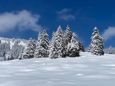 Obertoggenburg Alp Vadisi 'nde ve İsviçre' nin Nesslau, İsviçre 'de (Schweiz)