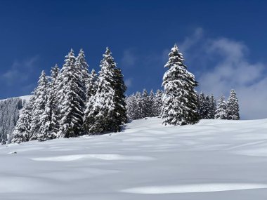 Obertoggenburg Alp Vadisi 'nde ve İsviçre' nin Nesslau, İsviçre 'de (Schweiz)