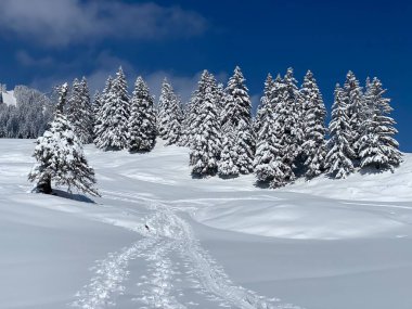 Obertoggenburg Alp Vadisi 'nde ve İsviçre' nin Nesslau, İsviçre 'de (Schweiz)