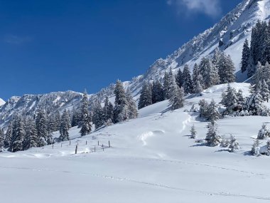 Obertoggenburg Alp Vadisi 'nde ve İsviçre' nin Nesslau, İsviçre 'de (Schweiz)