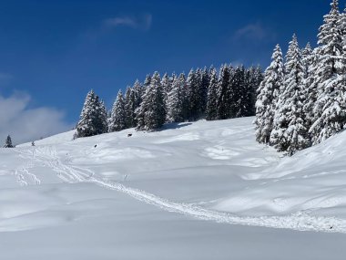Obertoggenburg Alp Vadisi 'nde ve İsviçre' nin Nesslau, İsviçre 'de (Schweiz)