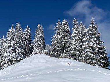 Obertoggenburg Alp Vadisi 'nde ve İsviçre' nin Nesslau, İsviçre 'de (Schweiz)