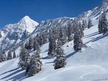 Obertoggenburg Alp Vadisi 'nde ve İsviçre' nin Nesslau, İsviçre 'de (Schweiz)
