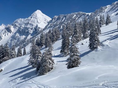Obertoggenburg Alp Vadisi 'nde ve İsviçre' nin Nesslau, İsviçre 'de (Schweiz)