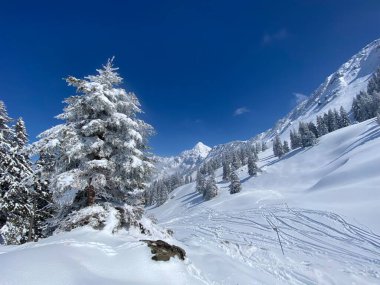 Obertoggenburg Alp Vadisi 'nde ve İsviçre' nin Nesslau, İsviçre 'de (Schweiz)