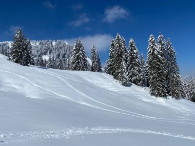 Obertoggenburg Alp Vadisi 'nde ve İsviçre' nin Nesslau, İsviçre 'de (Schweiz)