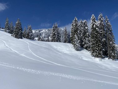 Obertoggenburg Alp Vadisi 'nde ve İsviçre' nin Nesslau, İsviçre 'de (Schweiz)