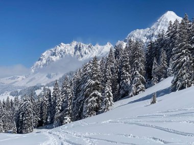 Obertoggenburg Alp Vadisi 'nde ve İsviçre' nin Nesslau, İsviçre 'de (Schweiz)