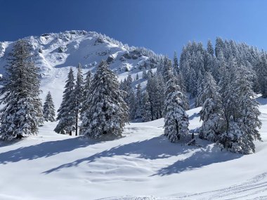 Obertoggenburg Alp Vadisi 'nde ve İsviçre' nin Nesslau, İsviçre 'de (Schweiz)