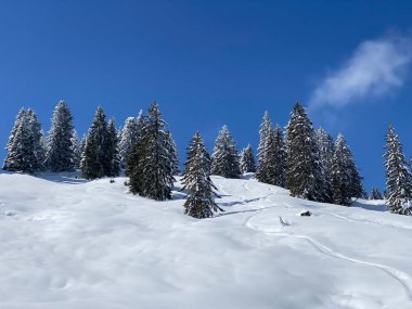 Obertoggenburg Alp Vadisi 'nde ve İsviçre' nin Nesslau, İsviçre 'de (Schweiz)