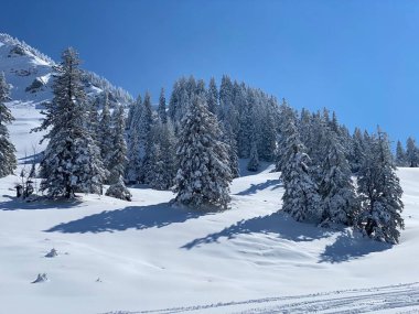 Obertoggenburg Alp Vadisi 'nde ve İsviçre' nin Nesslau, İsviçre 'de (Schweiz)