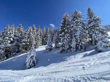 Obertoggenburg Alp Vadisi 'nde ve İsviçre' nin Nesslau, İsviçre 'de (Schweiz)