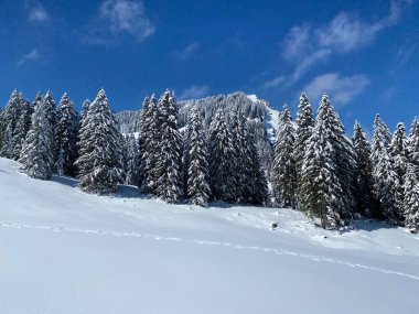 Obertoggenburg Alp Vadisi 'nde ve İsviçre' nin Nesslau, İsviçre 'de (Schweiz)