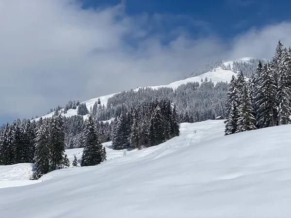 오베르 부르크 산골짜기 스위스의 알프스 슬라우 바이츠 떨어지고 전형적 겨울철 — 스톡 사진